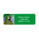 Buscar del macaw tarjetas e invitaciones Para ella