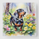 Buscar dachshund lindo posters Contenido generativo