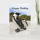 Buscar africano tarjetas Pájaros