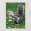 Buscar avaricioso postales Comer