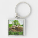 Buscar nutria llaveros Animales