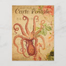 Buscar marine life postales Pulpo