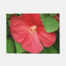 Buscar magenta felpudos Floral