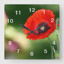 Buscar semillas relojes de pared Rojo