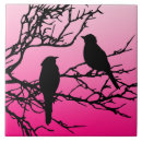 Buscar pájaros negros azulejos Amanecer