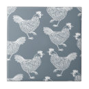 Buscar pollos azulejos Para todos