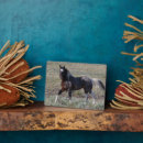 Buscar caballos salvajes placas fotograbadas Semental