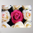 Buscar caja floral posters Rosa