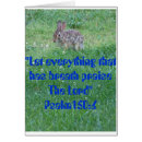 Buscar arrendajo azul postales Naturaleza