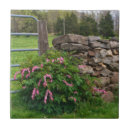 Buscar corazones sangrantes azulejos Corazón sangrante