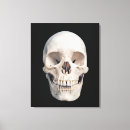 Buscar cráneo y huesos lienzos Anatomía