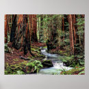 Buscar profundidad posters Paisaje