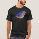 Buscar eastern Bluebird
