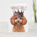 Buscar caniche de juguete tarjetas Perros