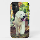 Buscar canina iphone fundas Animal