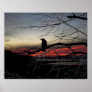 Buscar cuervo posters Pájaros