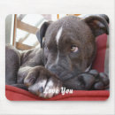 Buscar pitbull electronica Perro lindo