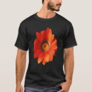 Buscar gazania ropa Naranja