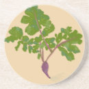 Buscar frutas y verduras posavasos Moderno