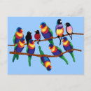 Buscar pluma de pájaro postales Pájaros