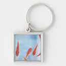 Buscar goldfish llaveros Mariscos