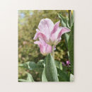Buscar tulipanes puzzles Flores