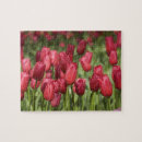 Buscar países bajos puzzles Rojo