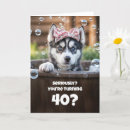 Buscar sorprendido tarjetas Perro