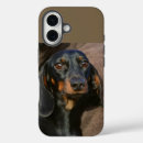 Buscar salchicha iphone fundas Perro salvador