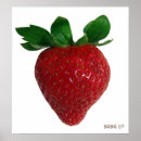 Buscar baya posters Fruta