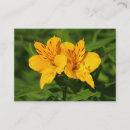 Buscar lilies tarjetas de visita Moderno