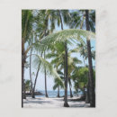 Buscar paraíso hawaiano postales Palmeras