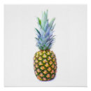 Buscar pineapple arte Isla