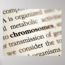 Buscar cromosomas posters Química