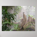 Buscar parques zoológicos posters Selva
