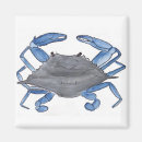 Buscar crab imanes Animal