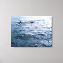 Buscar ballenas lienzos Vida silvestre