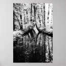 Buscar árbol blanco negro posters Río