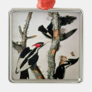 Buscar audubon de juan decoracion James
