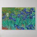 Buscar lirios posters Flores