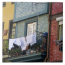 Buscar porta azulejos Río