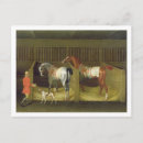Buscar caballo corriente postales Funcionamiento