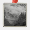 Buscar selva adornos Paisaje