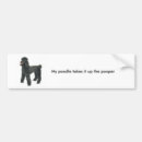 Buscar caniche pegatinas parachoque Coche