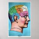 Buscar anatomy arte Brain