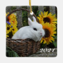 Buscar conejo de pascua adornos Granja