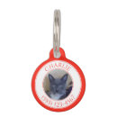Buscar amore mascotas Rojo