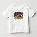 Buscar reserva india camisetas Canyon de chelly