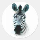 Buscar cebras pegatinas General y unisex