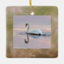 Buscar cisnes adornos Para todos